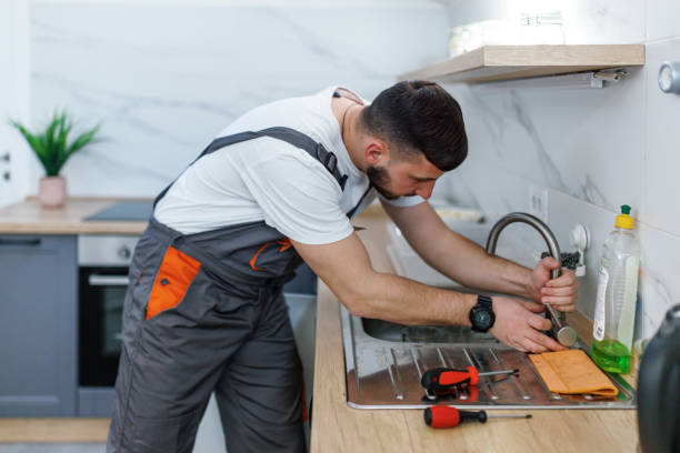 Best Emergency Plumbing Repair  in Oronoco, MN