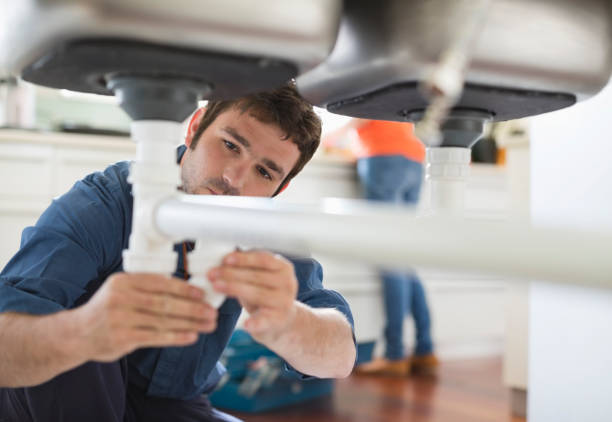 Best Local Plumber Services  in Oronoco, MN