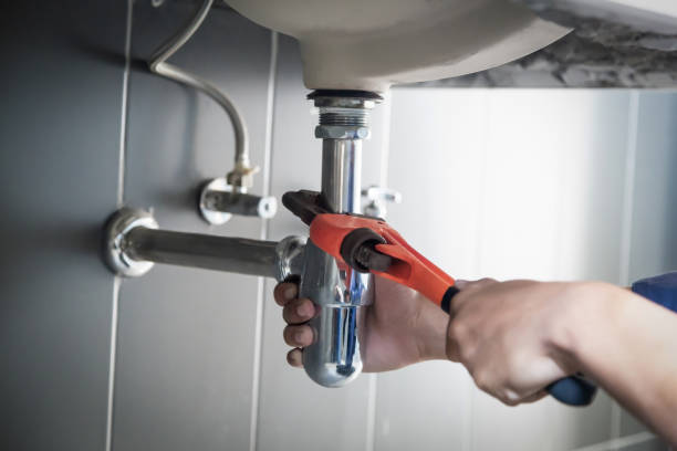 Best Plumbing Inspection Services  in Oronoco, MN